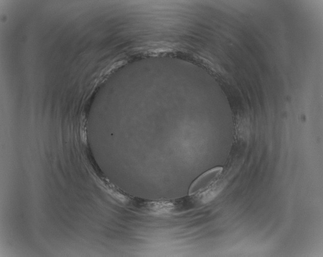 X0000068890719200605081319