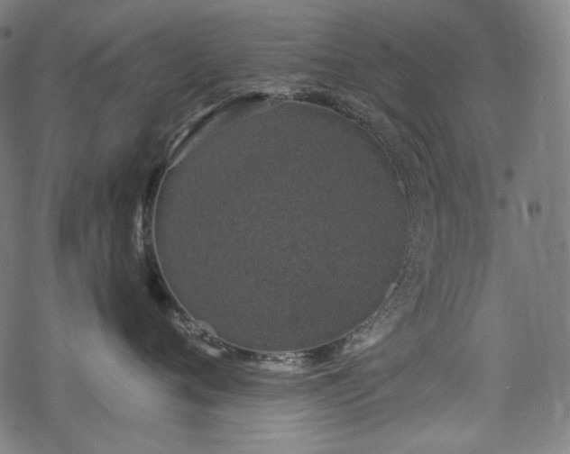 X0000068890720200605081319