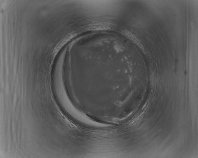 X0000068890721200605081319