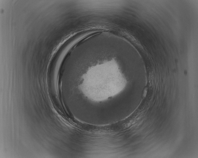 X0000068890722200605081319