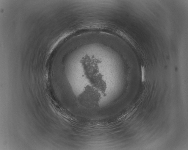 X0000068890723200605081319