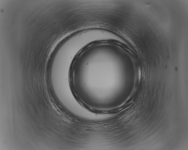 X0000068890724200605081319