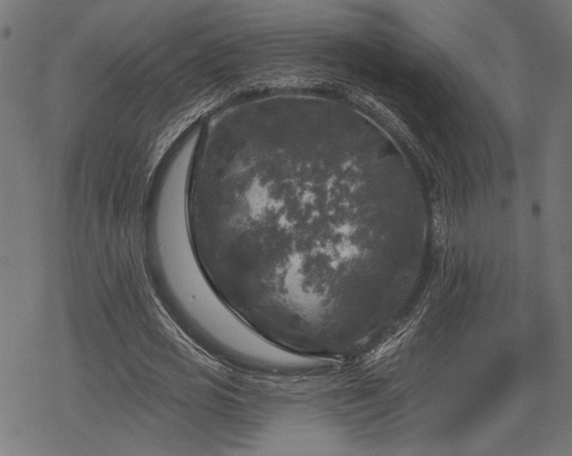 X0000068890725200605081319