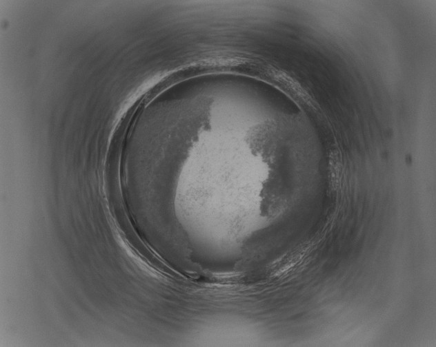 X0000068890726200605081319