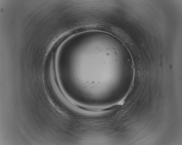 X0000068890728200605081319