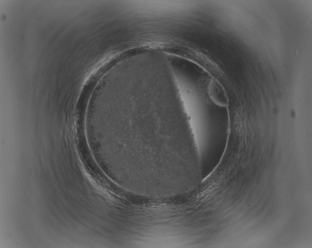 X0000068890730200605081319