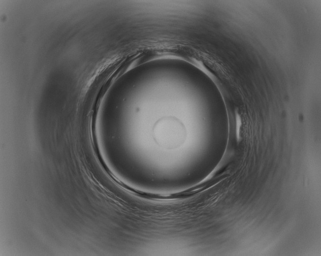 X0000068890731200605081319