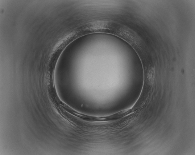 X0000068890732200605081319