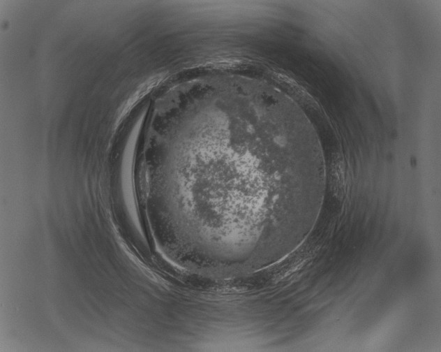 X0000068890734200605081319