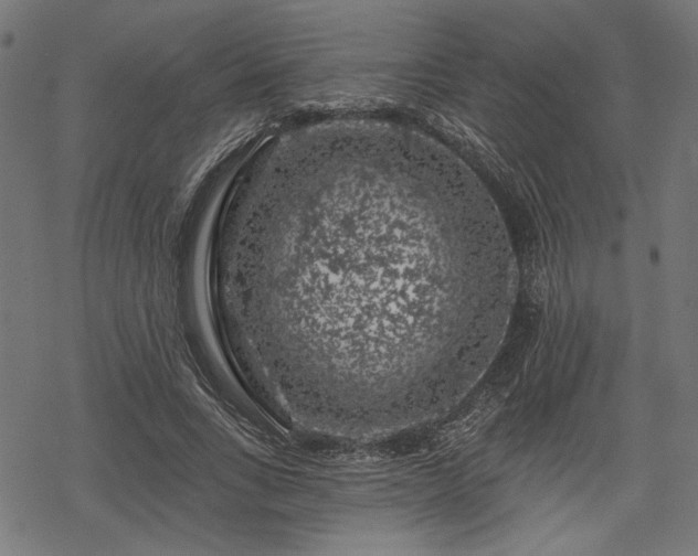 X0000068890735200605081319