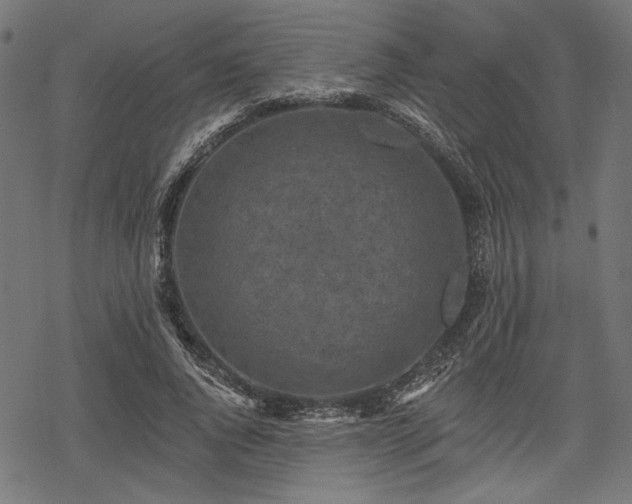 X0000068890736200605081319