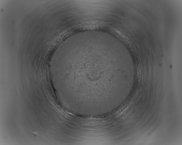 X0000068890737200605081319