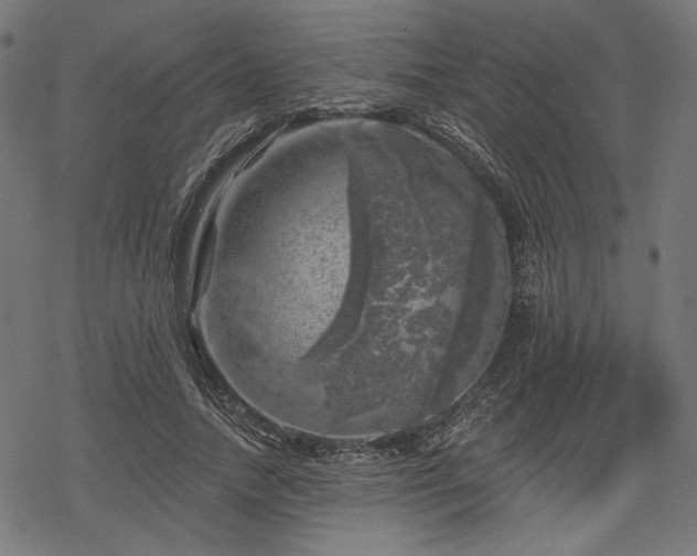 X0000068890738200605081319