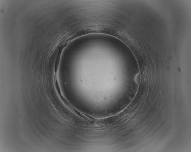 X0000068890739200605081319