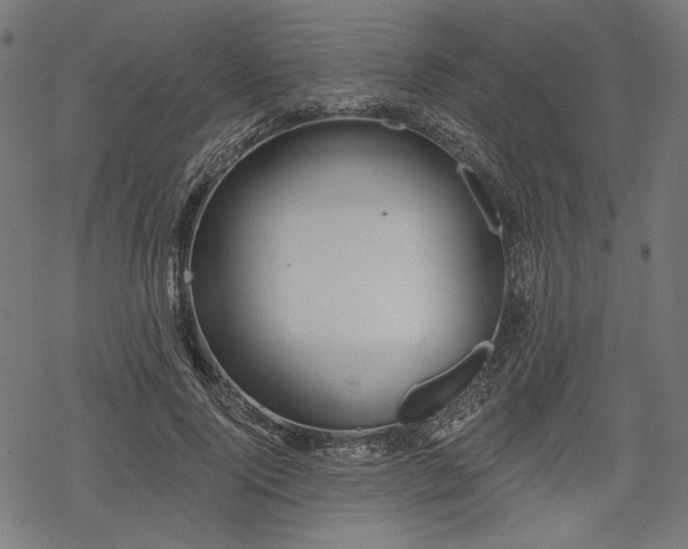 X0000068890740200605081319