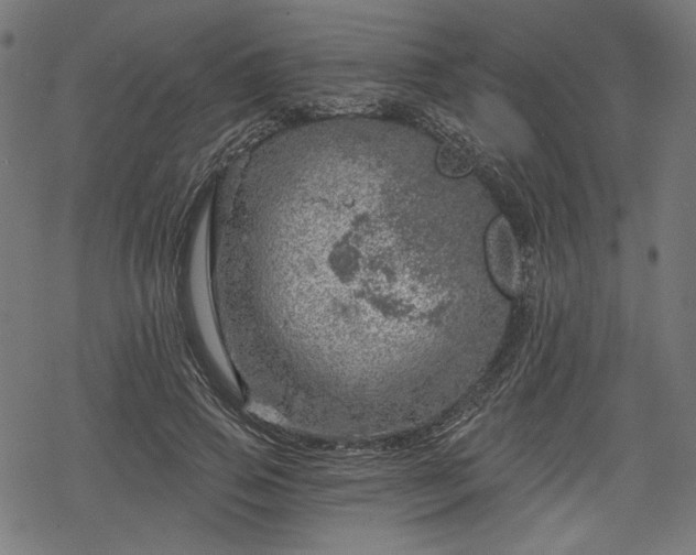 X0000068890741200605081319