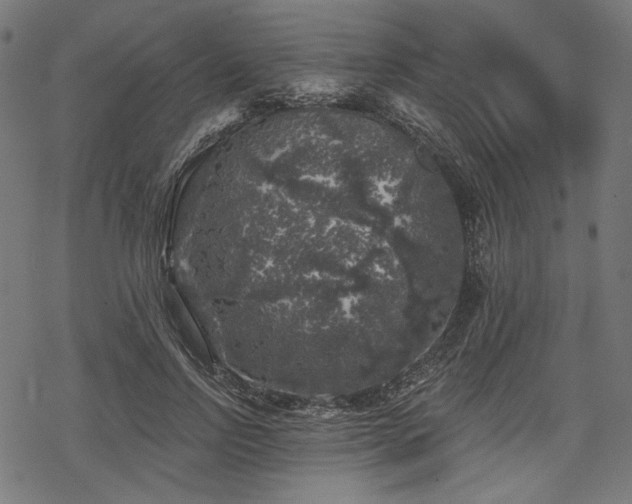 X0000068890742200605081319