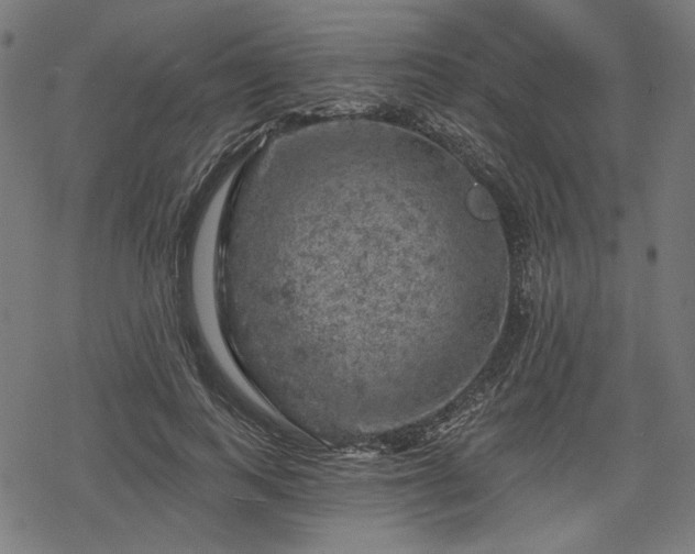 X0000068890743200605081319