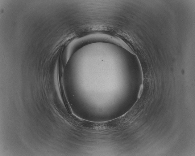 X0000068890744200605081319