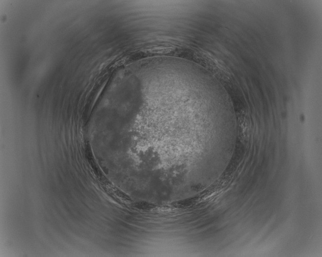 X0000068890745200605081319