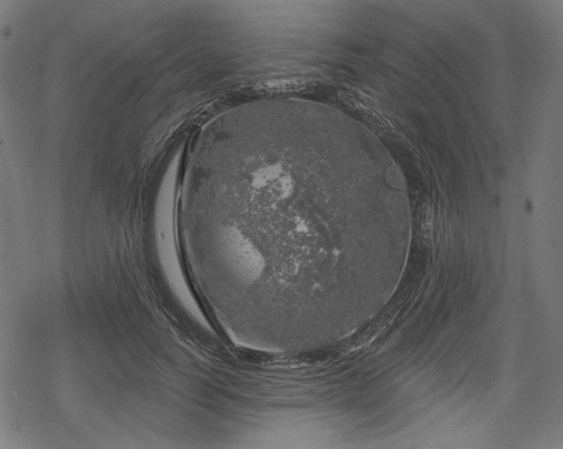 X0000068890746200605081319