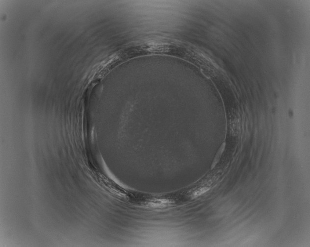 X0000068890748200605081319