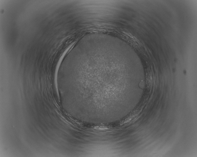 X0000068890749200605081319