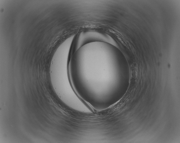 X0000068890750200605081319