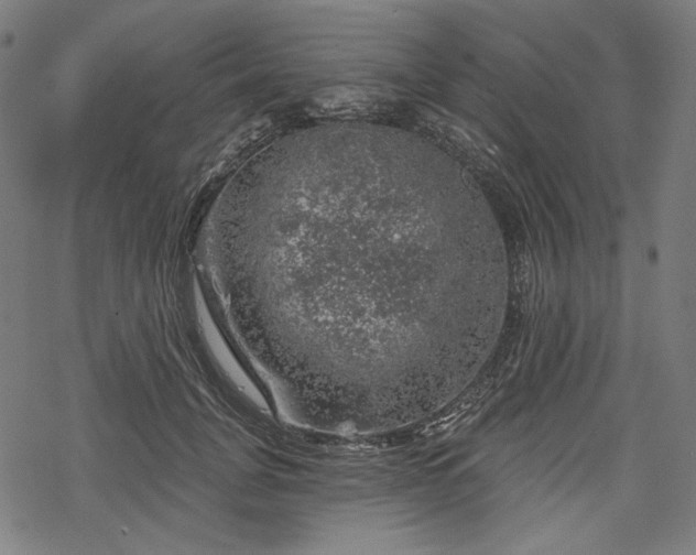 X0000068890751200605081319