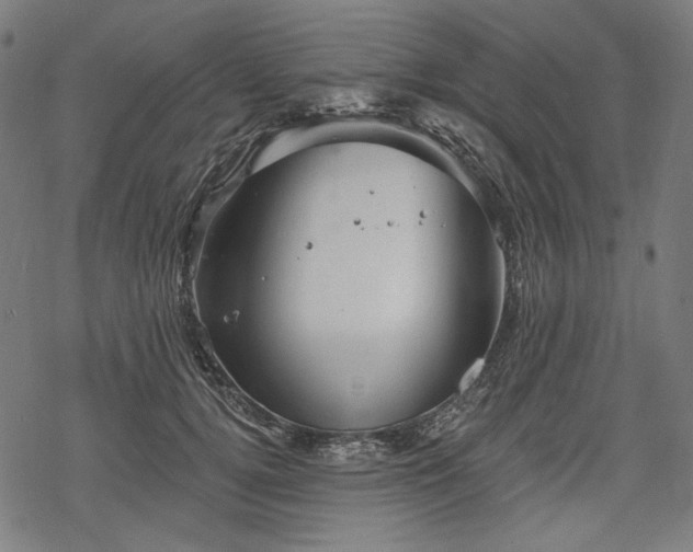 X0000068890752200605081319