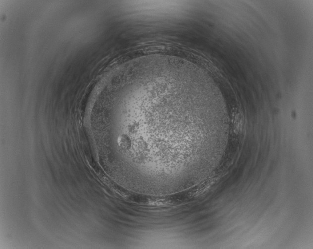 X0000068890753200605081319