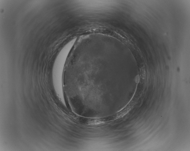 X0000068890754200605081319