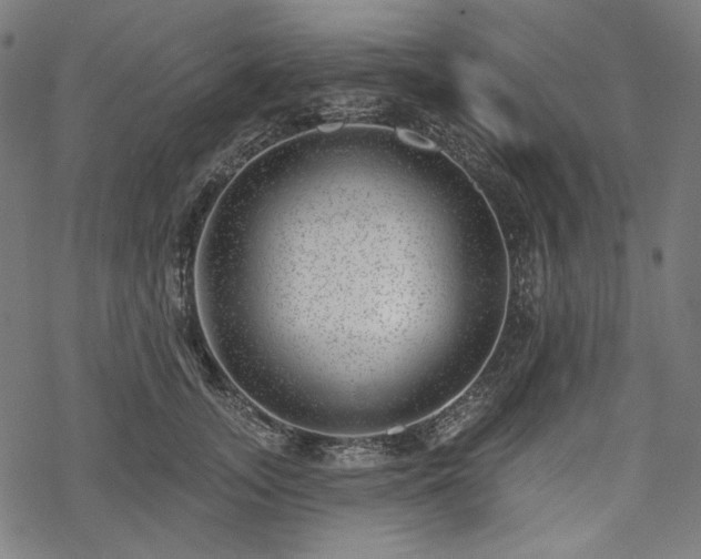 X0000068890755200605081319