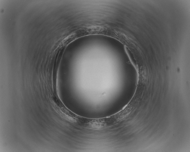 X0000068890756200605081319