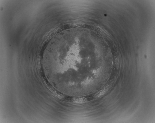 X0000068890757200605081319