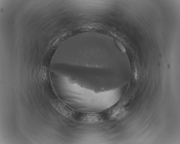 X0000068890758200605081319