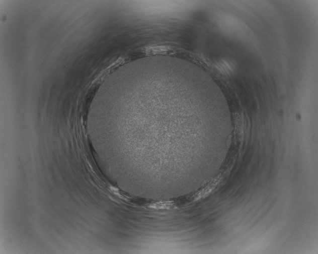 X0000068890761200605081319