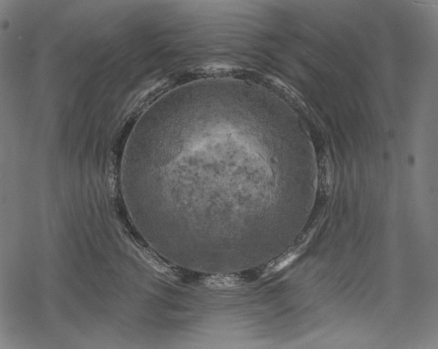 X0000068890762200605081319