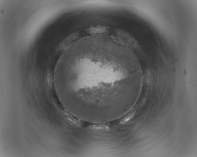 X0000068890763200605081319