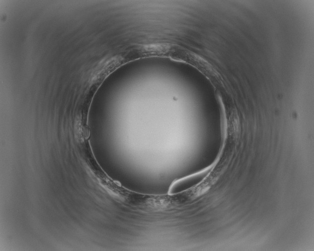 X0000068890764200605081319