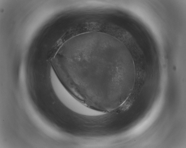 X0000068890765200605081319