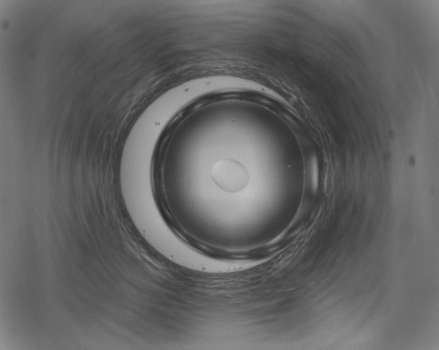 X0000068890766200605081319