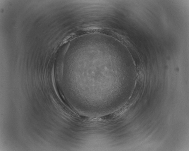 X0000068890767200605081319