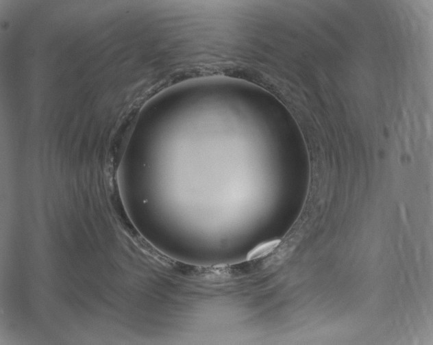 X0000068890768200605081319