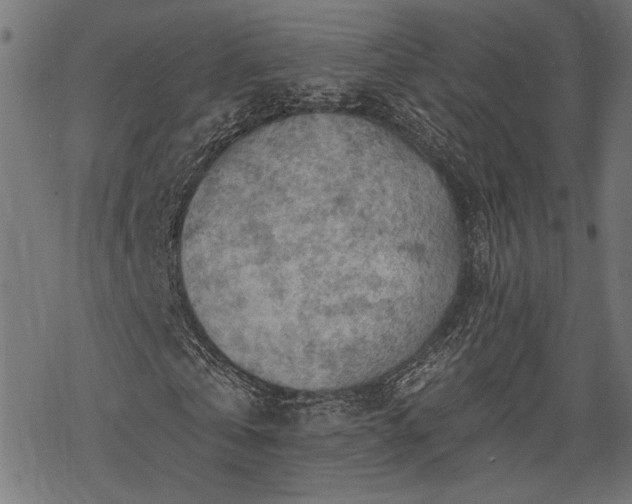 X0000068890769200605081319