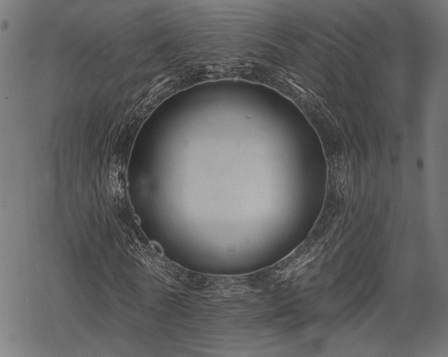 X0000068890770200605081319