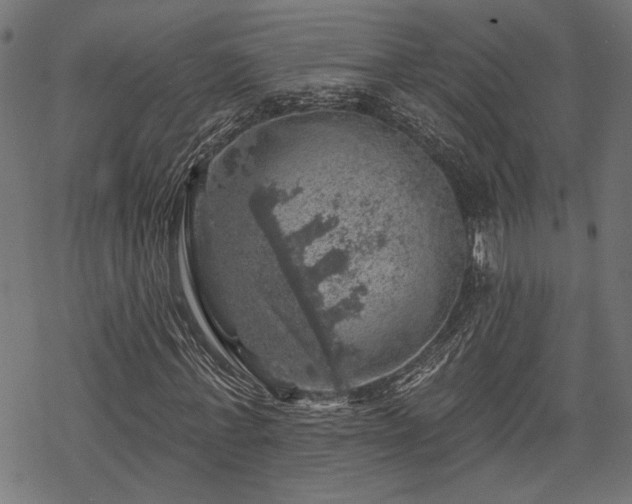 X0000068890771200605081319