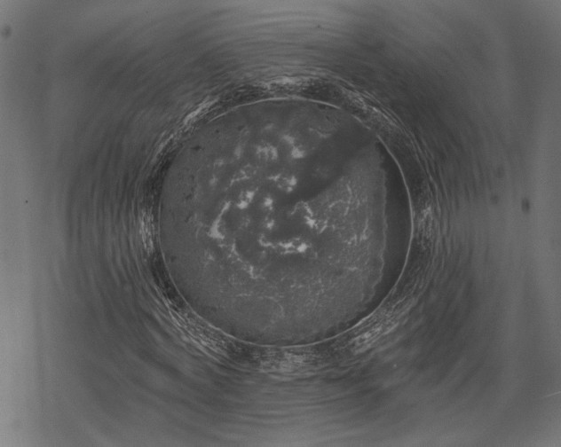 X0000068890772200605081319