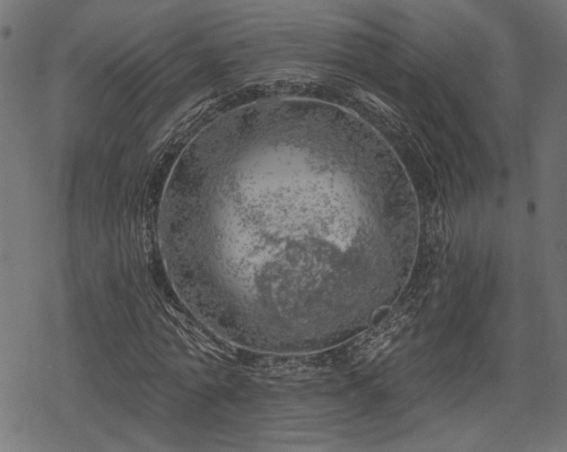 X0000068890774200605081319