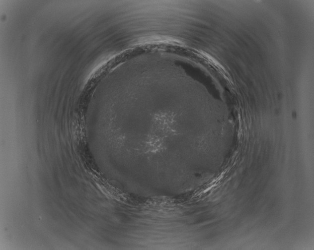 X0000068890775200605081319